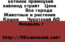 котенок прямоухий  хайленд страйт › Цена ­ 10 000 - Все города Животные и растения » Кошки   . Чукотский АО,Анадырь г.